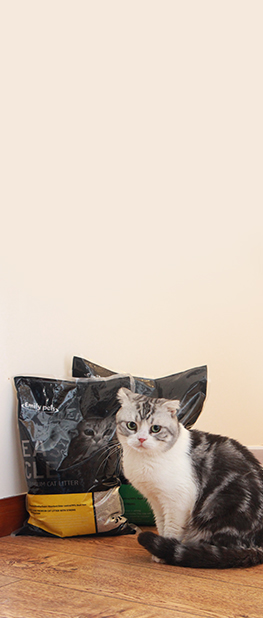 貓砂產(chǎn)品